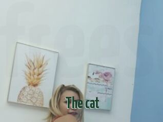 The_cat