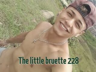 The_little_bruette_228