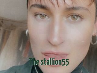 The_stallion55