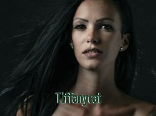 Tiffanycat