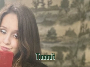Tinamit