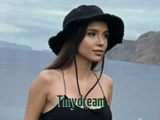 Tinydream