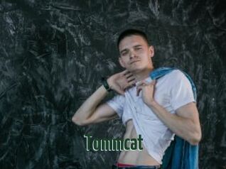 Tommcat