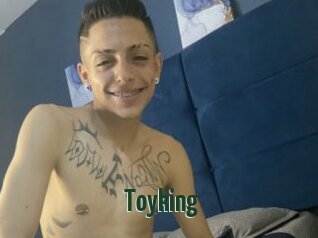 Toyking