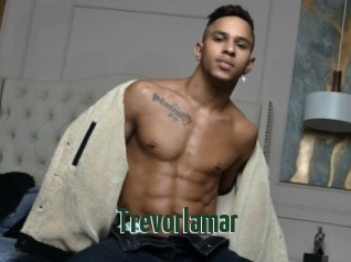 Trevorlamar