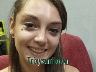 Trixysunflower