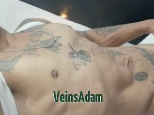 VeinsAdam
