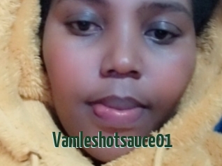 Vamleshotsauce01