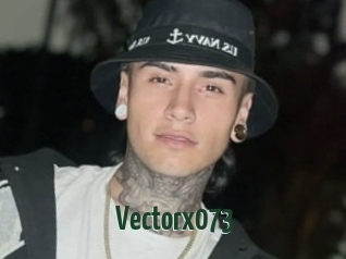 Vectorx073