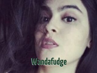 Wandafudge