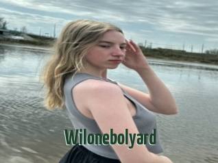 Wilonebolyard