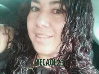 YECAOL23