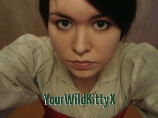 YourWildKittyX