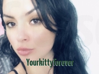 Yourkittyforever