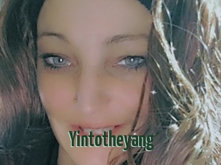 Yintotheyang
