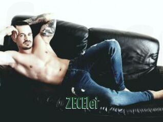 ZECElei