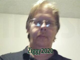 Ziggy2020